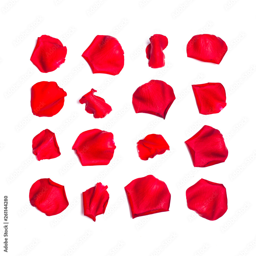 Set of red rose petals on white Set of red rose petals on white