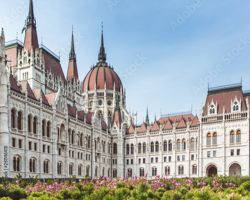 Spring flower with View of the Parliament Hungary ,Budapest