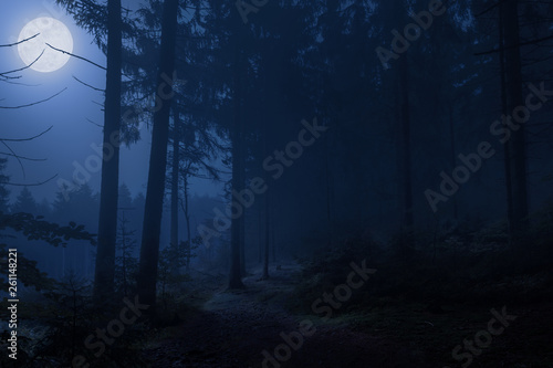 Photo An eerie full moon, very scary, at night in the Teutoburg Forest in Germany, where you never want to be at night