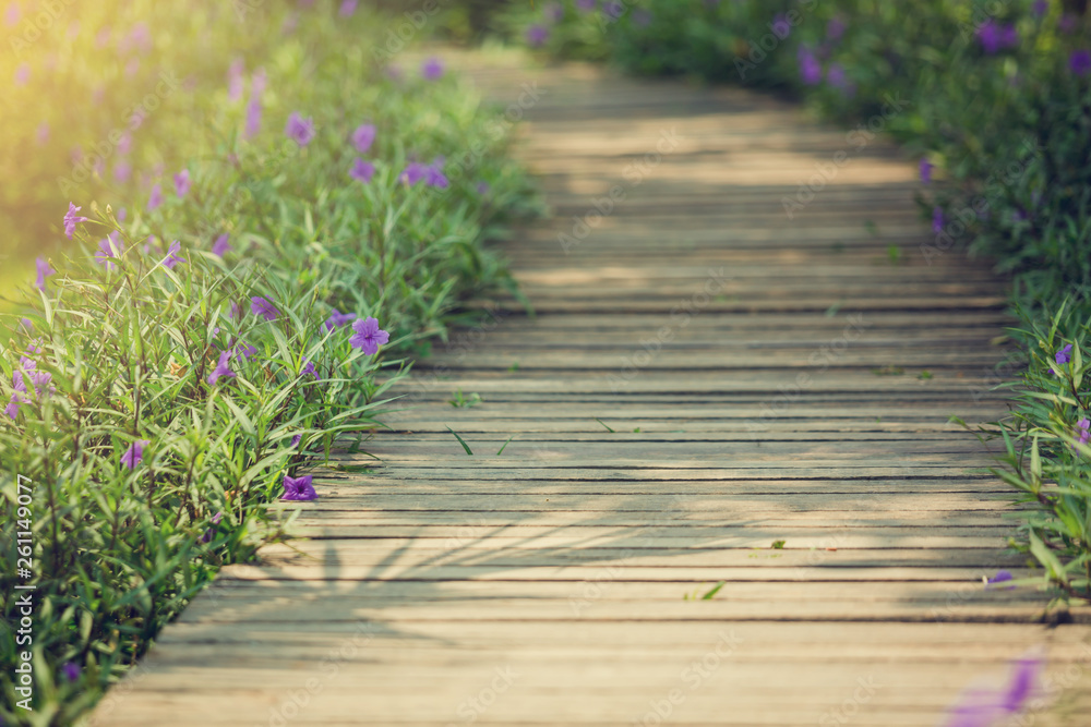 selective focus to wooden bridge and side blossom purple flower and bud of Waterkanon in the garden