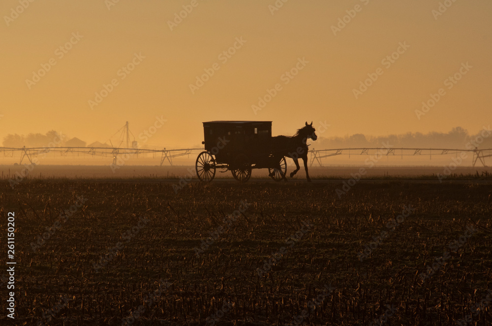 Amish Horse and Buggy in Sihouette with Irrigation at Dusk Amish Horse and Buggy in Sihouette with Irrigation at Dusk