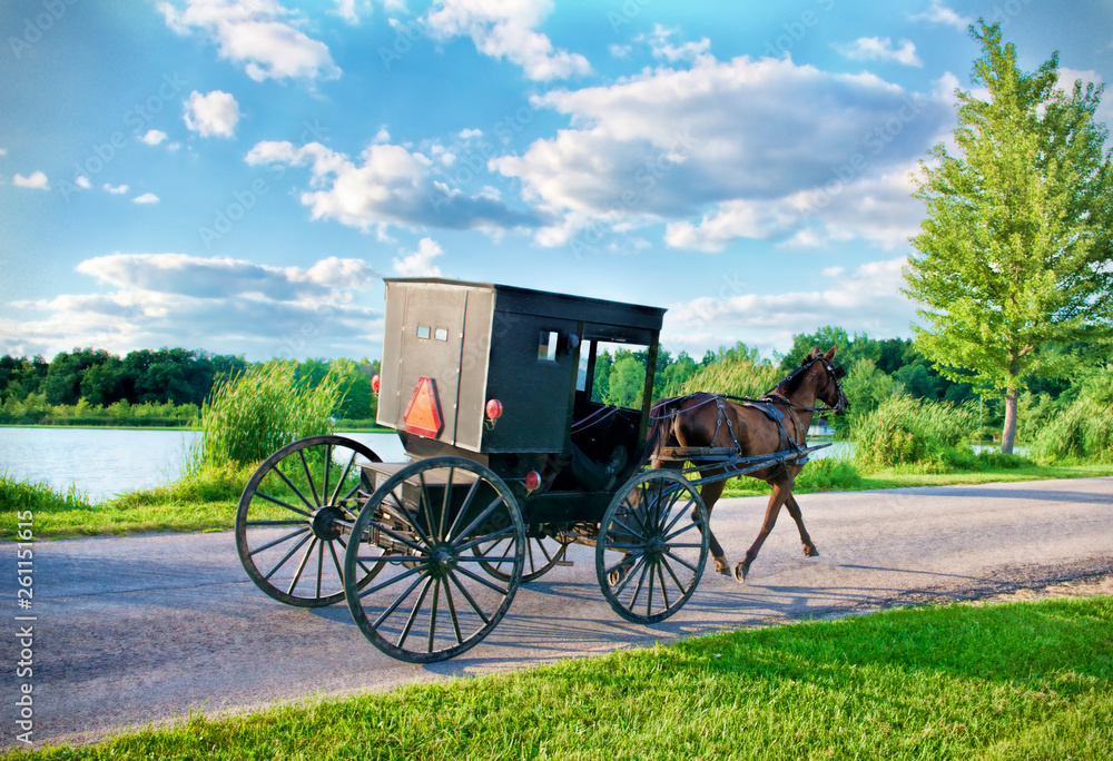 Amish Horse and Buggy on Bright Summer Day by Lake