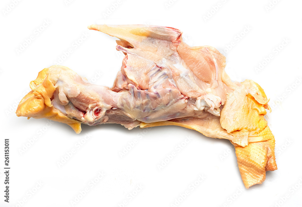Chicken skeleton Fresh food and white background Chicken skeleton Fresh food and white background