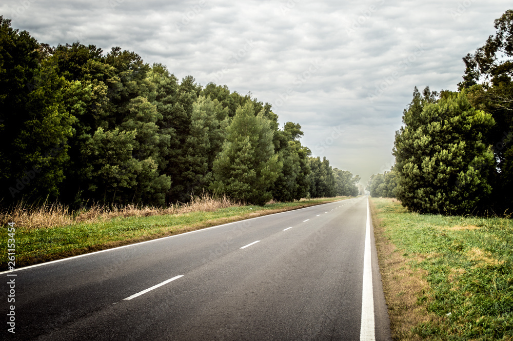 Obraz premium Ruta paisaje