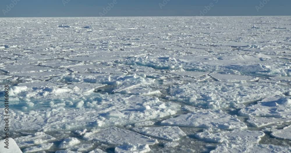 Floating cracking ice in the sea of Spitsbergen Floating cracking ice in the sea of Spitsbergen