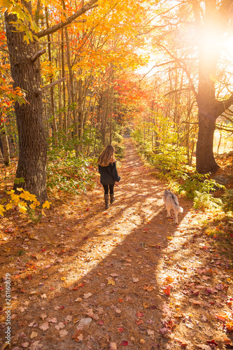 Fotografía Woman walks away from the camera and in to the sun with her husky dog in the woods on a glorious fall day with beautiful New England color
