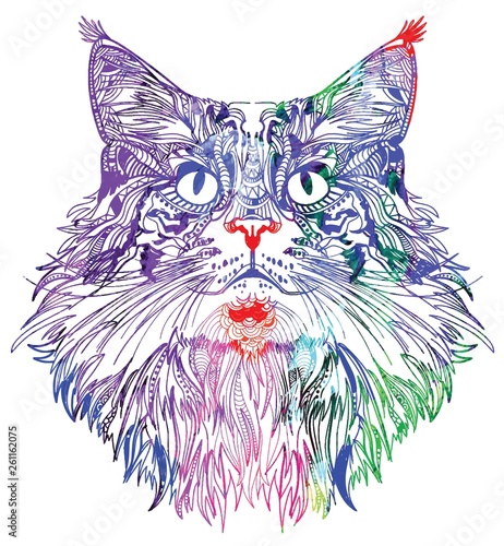 The head of a cat. Fluffy kitten. Drawing manually in vintage style. Meditative coloring. Coloring for children. Arrows, points, patterns.