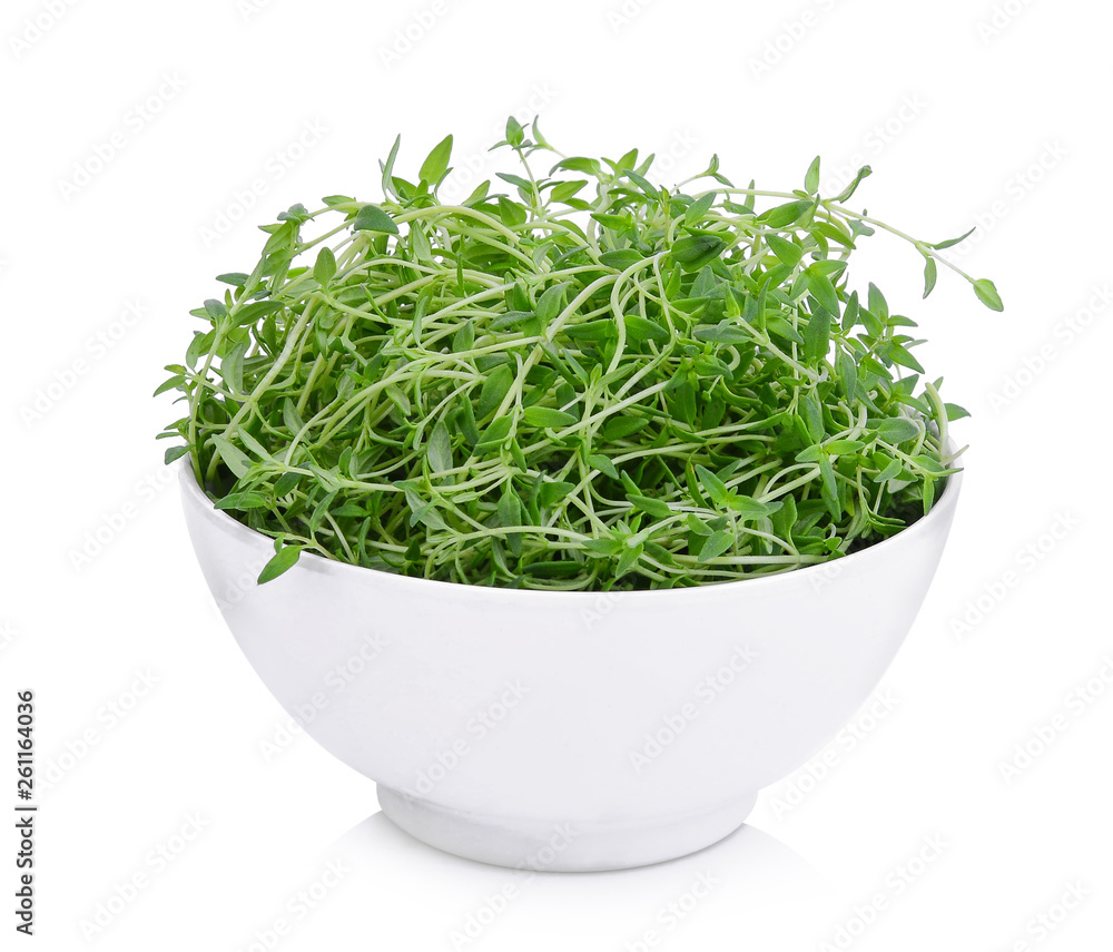 resh green thyme in the white bowl isolated on white background resh green thyme in the white bowl isolated on white background