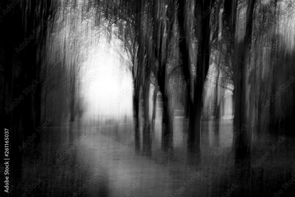 Naklejka premium Fog