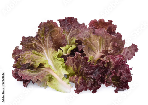 fresh red coral salad or red lettuce isolated on the white background