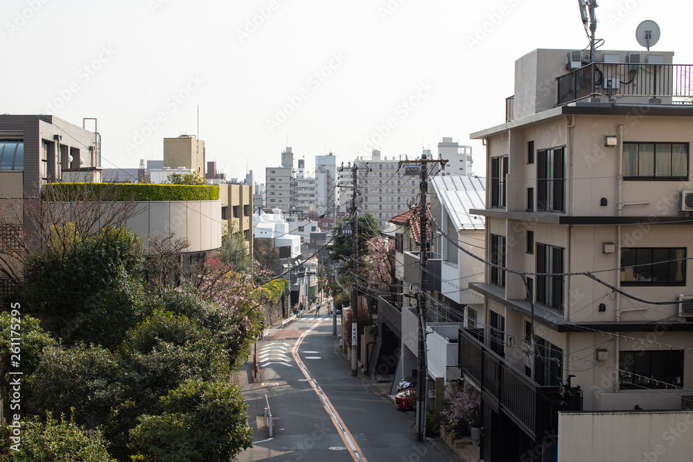 typical view of Japanese city town street with some trees and buildings 