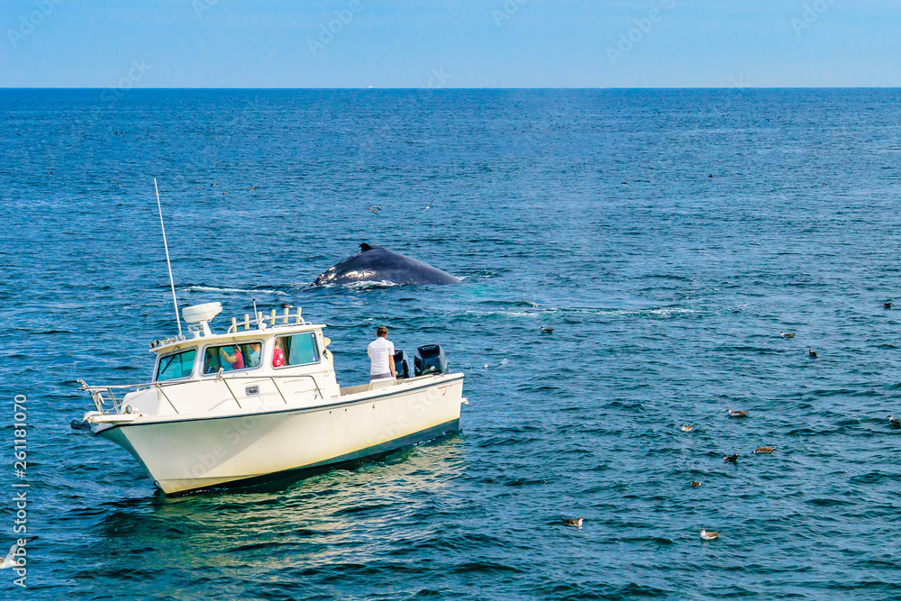 Boat and whale, Cape Cod, Massachusetts, US Boat and whale, Cape Cod, Massachusetts, US