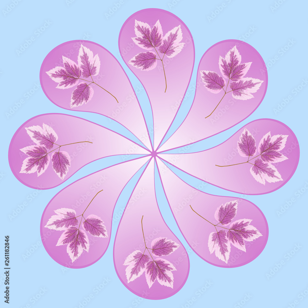 Ornamental pattern mandala with floral elements