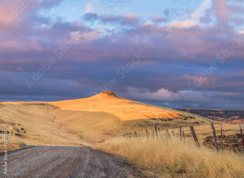 A dirt road in rural Butte County, California passing through grass covered foothills at sunset.