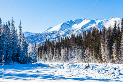 Snow Forest in Winter. The snow-covered Gongnaisi forest in winter photo