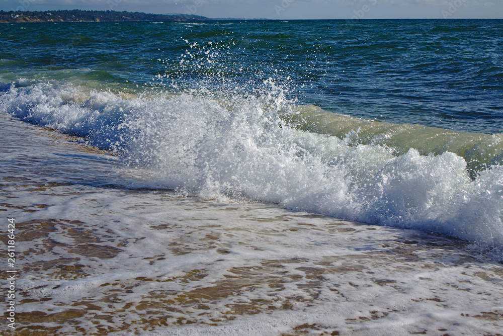 Fototapeta premium Wave on beach
