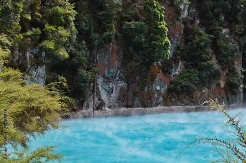 Rotorua Steaming Hot Pool Beside Colorful Tree Clad Cliffs New Zealand