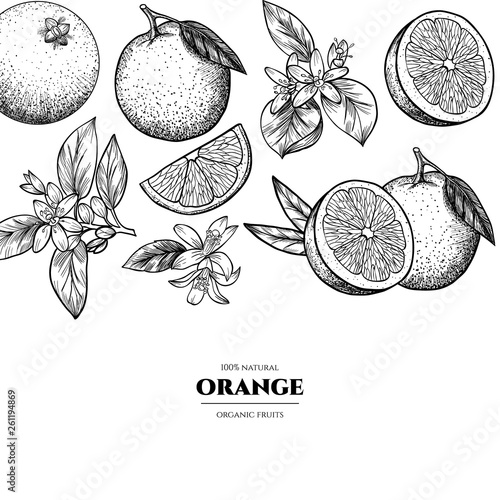Vector frame with oranges and flowers .Hand drawn. Vintage style