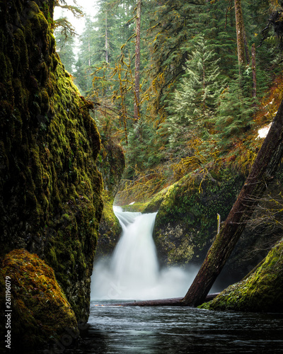 Oregon waterfall