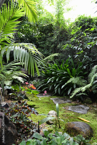 Colourful flowers and plants in tropical garden