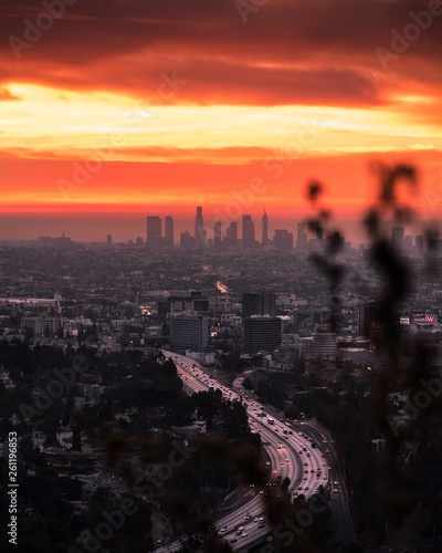 Hollywood Overlook