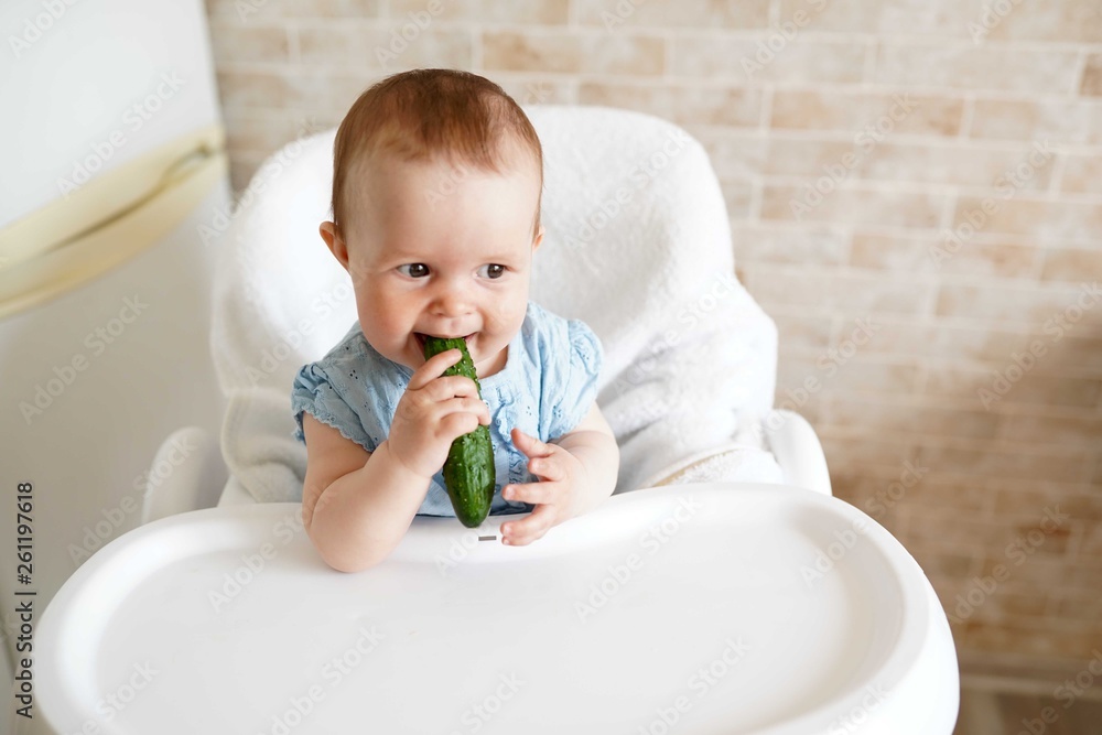 Baby eating vegetables. green cucumber in little girl hand in sunny kitchen. Healthy nutrition for kids. Solid food for infant. copy space Baby eating vegetables. green cucumber in little girl hand in sunny kitchen. Healthy nutrition for kids. Solid food for infant. copy space