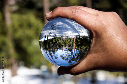 Green Forest and snow view through clear crystal glass ball. Creative photography, crystal ball refraction