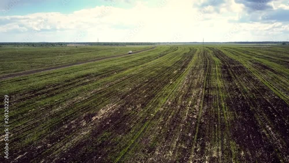 pictorial aerial motion over endless fields with green sprouts stretching beyond horizon to car on road under cloudy sky pictorial aerial motion over endless fields with green sprouts stretching beyond horizon to car on road under cloudy sky