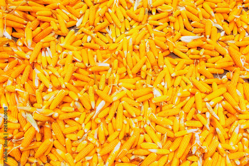 A heap of yellow corns A heap of yellow corns