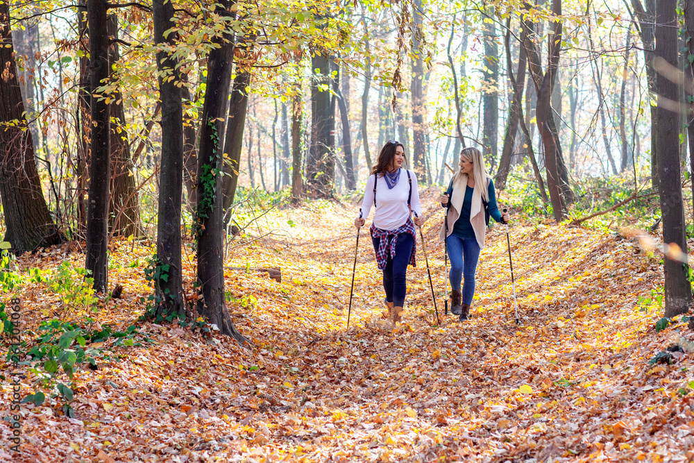 Two young girls walking in forest with backpacks using sticks with fall leaves and trees on background
