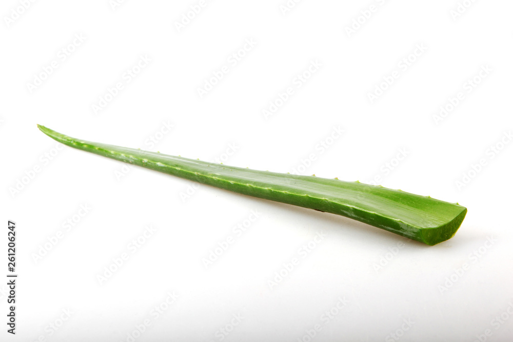 Aloe Vera On White Background Aloe Vera On White Background