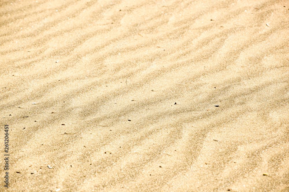 Sand Background Texture Sand Background Texture