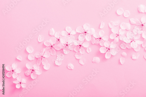cherry flowers on paper background © Maya Kruchancova