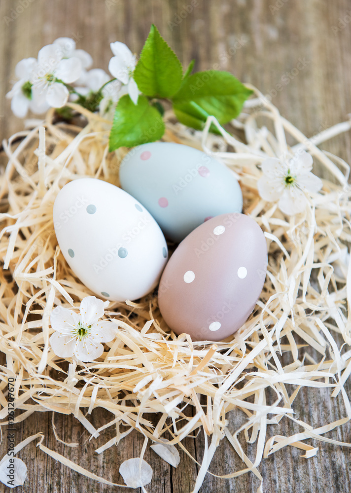 Obraz premium Nest with easter eggs