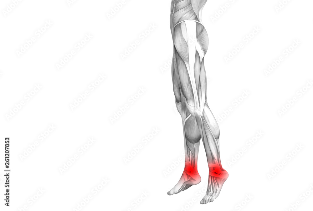 Conceptual ankle human anatomy with red hot spot inflammation or articular joint pain for leg health care therapy or sport muscle concepts. 3D illustration man arthritis or bone osteoporosis disease Conceptual ankle human anatomy with red hot spot inflammation or articular joint pain for leg health care therapy or sport muscle concepts. 3D illustration man arthritis or bone osteoporosis disease