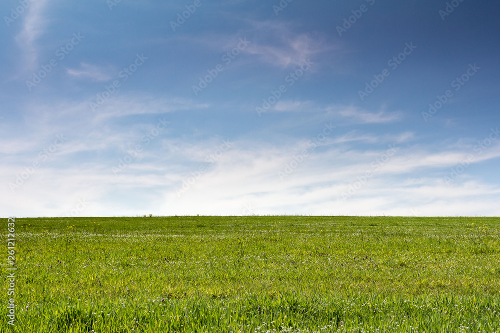 green field against blue sky with clouds green field against blue sky with clouds
