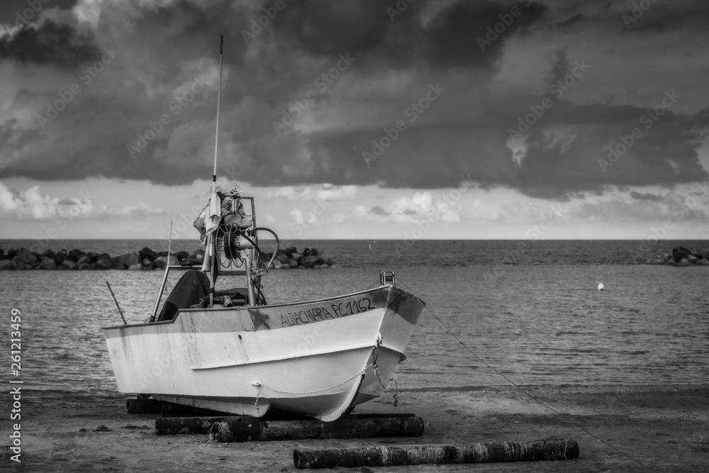 Naklejka premium Pesca