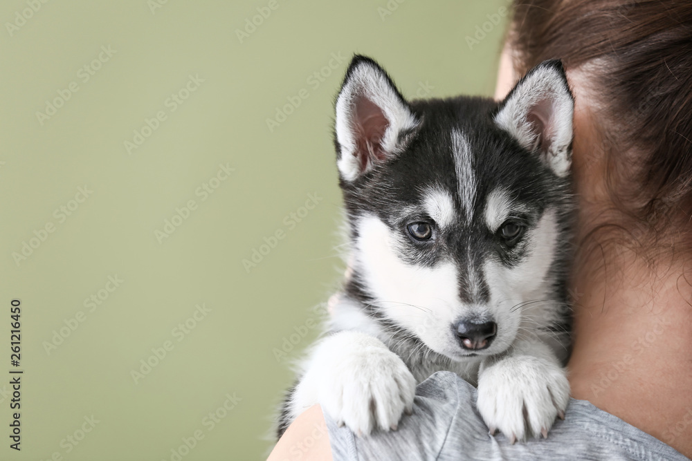 Woman with cute Husky puppy on color background