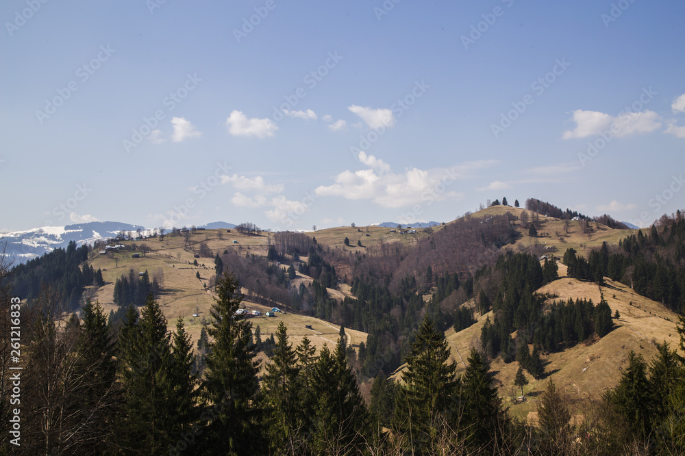 Beautiful landscape in forest Carpathian mountains
