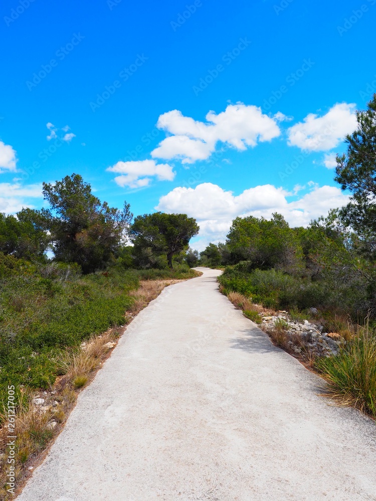 sendero en la montaña