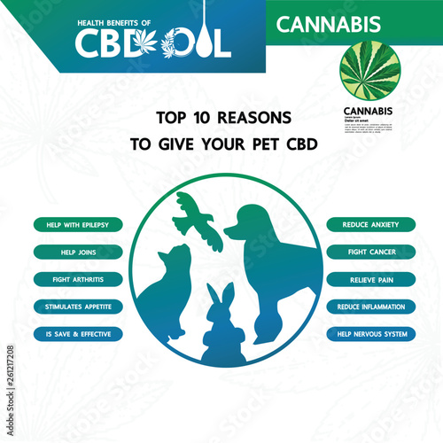 Cannabis benefits for pet health vector illustration.
