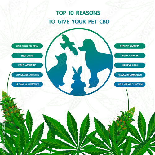 Cannabis benefits for pet health vector illustration.