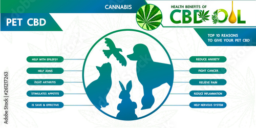 Cannabis benefits for pet health vector illustration.