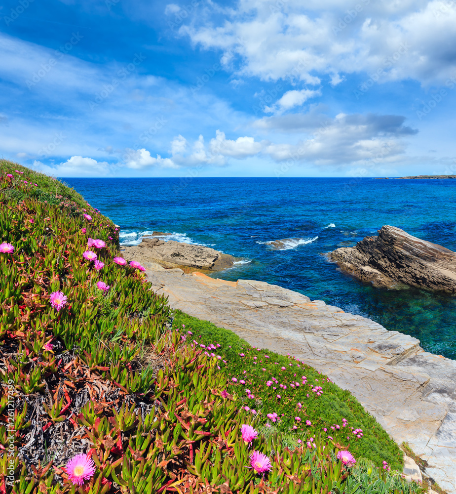 Atlantic blossoming coastline, Spain