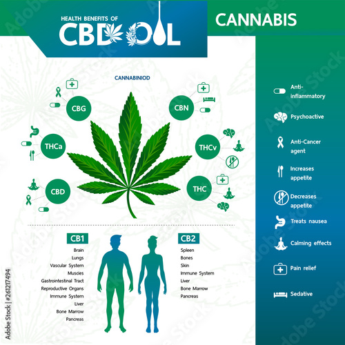 Cannabis benefits for health vector illustration.