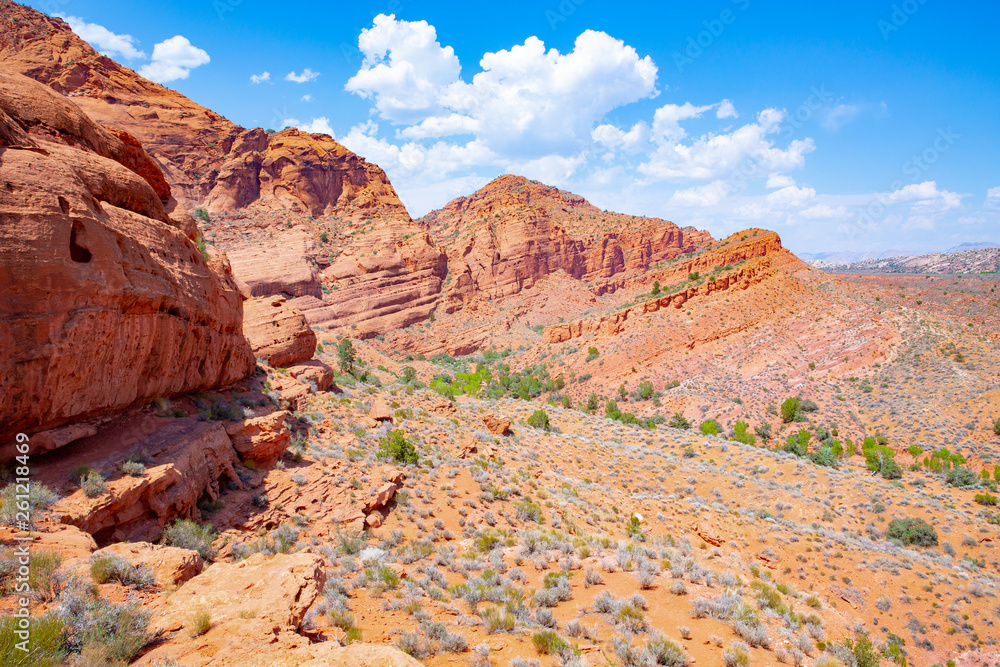 Red Cliffs Recreation Area, National Conservation Lands in Utah, USA