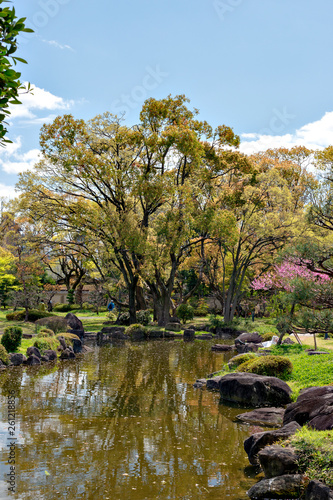 Traditional Japanese garden at Fujita house park in Osaka, Japan photo