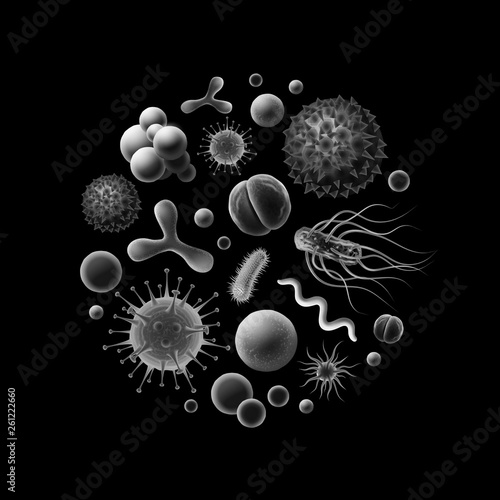 Set of bacteria cells