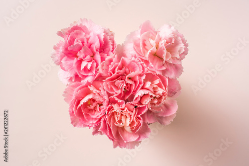 Wallpaper Mural top view of carnation on pink background, mock up Torontodigital.ca