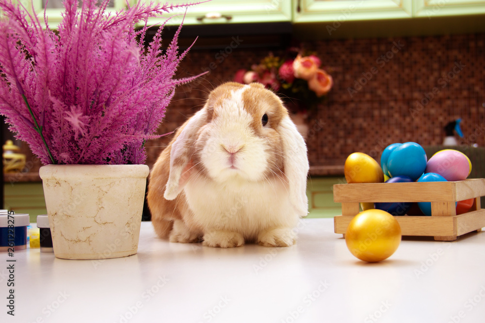 Obraz premium easter bunny and colorful eggs on purple flowers background provence. Copy space for text